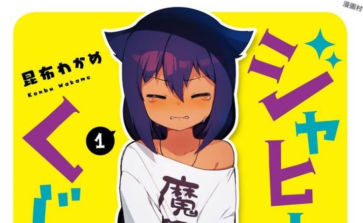 11073